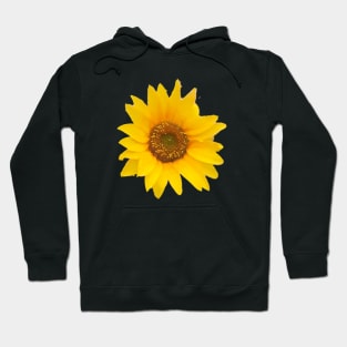 Yellow Sunflower -  Hello Summer Hoodie